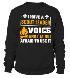 I Have A Scout Leader Voice