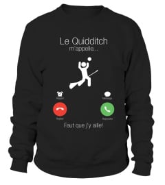 Le quidditch