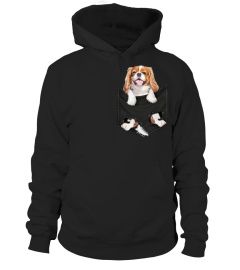 Cavalier King Charles Spaniel Pocket