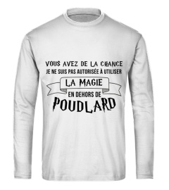 LA MAGIE EN DEHORS DE POUDLARD T SHIRT