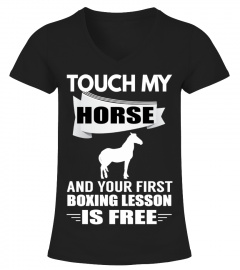 HORSE LESSONS