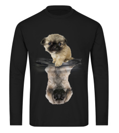 Pekingese Dreaming