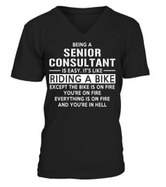 SENIOR CONSULTANT - Limited Edition