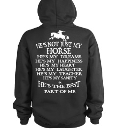 MY Horse !!