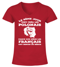 Pologne Syndrome T-shirt Pologne Sensibilisation au syndrome Ruban rouge  Guerrier Combattant Chirurgie Récupération Sweat à capuche débardeur A1341  -  France