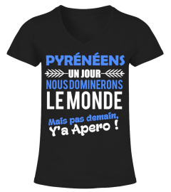 ! MIDI PYRÉNÉENS !