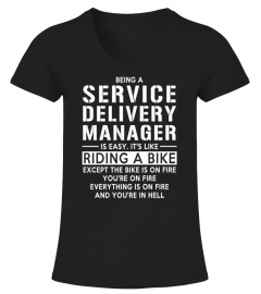 SERVICE DELIVERY MANAGER - LE