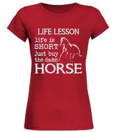 HORSE - LIFE LESSON