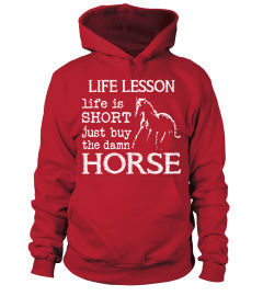 HORSE - LIFE LESSON