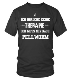 DAS WEIHNACHTSGESCHENK 2016 - Pellworm