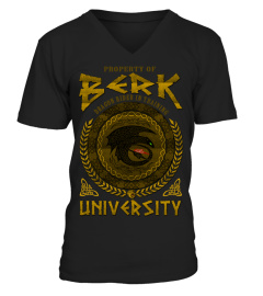 BERK UNIVERSITY