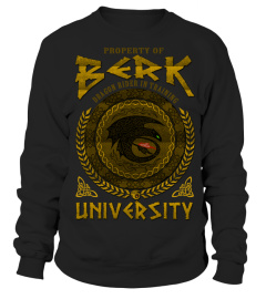 BERK UNIVERSITY