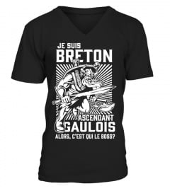 Breton Guerrier - EXCLUSIF LIMITÉE
