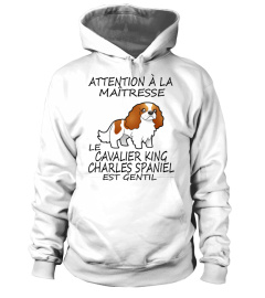 CAVALIER KING CHARLES SPANIEL