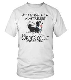 BORDER COLLIE  -   ÉDITION COLLECTOR