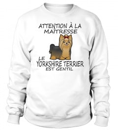 YORKSHIRE TERRIER-  ÉDITION COLLECTOR