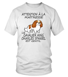 CAVALIER KING CHARLES SPANIEL