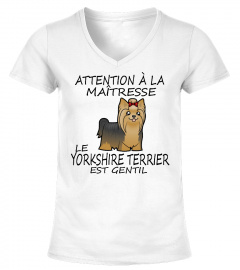 YORKSHIRE TERRIER-  ÉDITION COLLECTOR