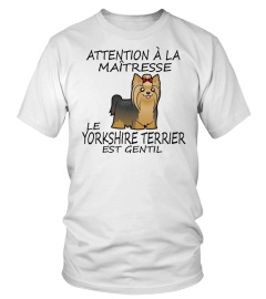 YORKSHIRE TERRIER-  ÉDITION COLLECTOR