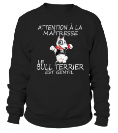 BULL TERRIER  - ÉDITION COLLECTOR