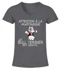 BULL TERRIER  - ÉDITION COLLECTOR