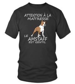 AMSTAFF - ÉDITION COLLECTOR