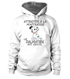 DALMATIEN -  ÉDITION COLLECTOR