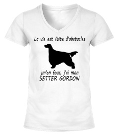 SETTER GORDON  - ÉDITION COLLECTOR