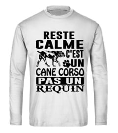 Cane Corso  - Edition Limitée