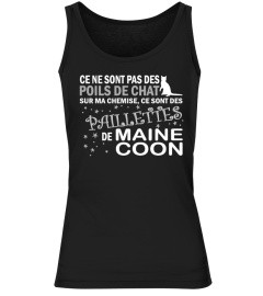 paillettes-de-coon