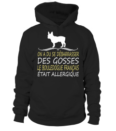 BOULEDOGUE FRANÇAIS -  OFFRE LIMITÉE