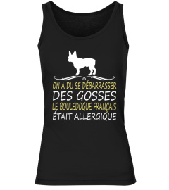 BOULEDOGUE FRANÇAIS -  OFFRE LIMITÉE