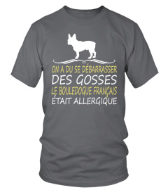 BOULEDOGUE FRANÇAIS -  OFFRE LIMITÉE