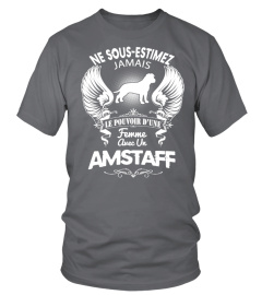 AMSTAFF  -  OFFRE LIMITÉE