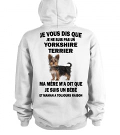 Yorkshire Terrier FR