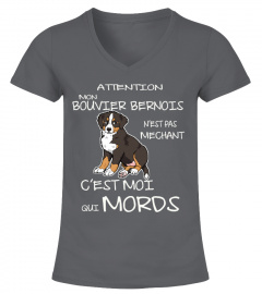 BOUVIER BENOIS T-shirt Offre spéciale