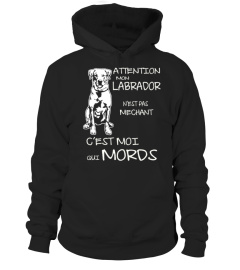 LABRADOR T-shirt