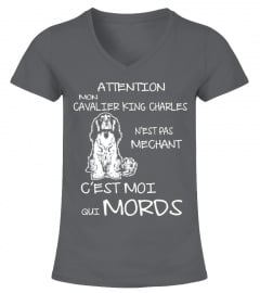 CAVALIER KING CHARLES T-shirt