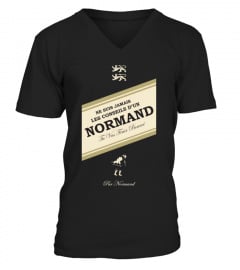 Normand Conseils