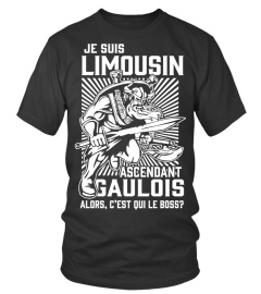 Limousin guerrier - EXCLUSIF LIMITÉE