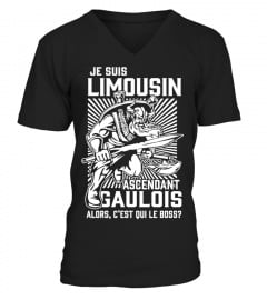 Limousin guerrier - EXCLUSIF LIMITÉE