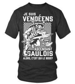 Vendéens guerrier - EXCLUSIF LIMITÉE