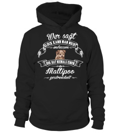 GLÜCK MIT Maltipoo