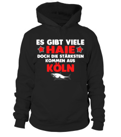 Haie aus Köln