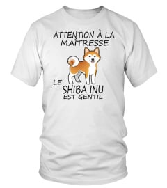 SHIBA INU  -  ÉDITION COLLECTOR