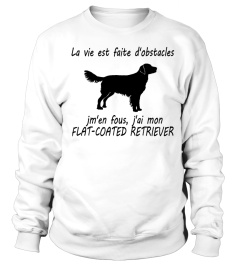 FLAT-COATED RETRIEVER  -  ÉDITION