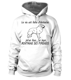 MONTAGNE DES PYRÉNÉES  -  ÉDITION