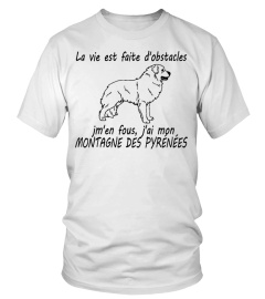 MONTAGNE DES PYRÉNÉES  -  ÉDITION