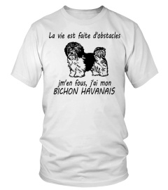 BICHON HAVANAIS - ÉDITION COLLECTOR