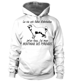 MONTAGNE DES PYRÉNÉES  - ÉDITION